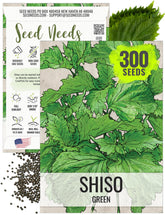 Seed Needs Shiso seeds packaging – easy to plant for fresh greens