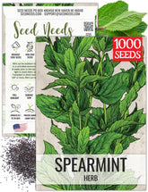 Seed Needs spearmint seed packets on table with sowing instructions.