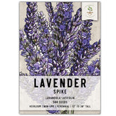 Seed Needs Spike Lavender seeds in a packet ready for easy home planting