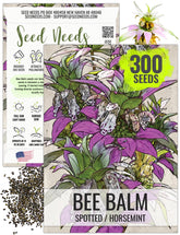 Seed Needs Spotted Bee Balm seeds packet for vibrant pollinator-friendly gardening.