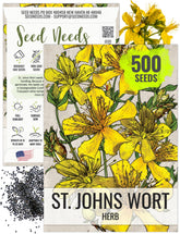 Seed Needs St. John's Wort seeds pack front for home planting and herbal crafting.