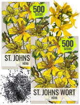 Seed Needs St. Johns Wort seeds packet front for easy home planting.
