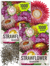 Seed Needs strawflower seeds packaging front for easy planting