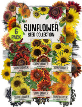 Seed Needs Lemon Queen sunflower seeds for bright borders and butterfly-friendly blooms.
