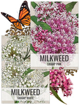 Seed Needs swamp milkweed seed packets ready for spring planting to attract monarchs
