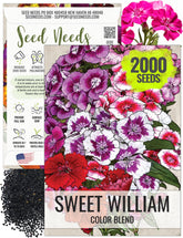 Seed Needs Sweet William seed packet front for easy sowing and planning.