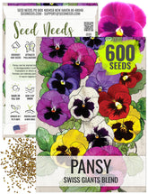 Seed Needs Swiss Giants Pansy seeds pack ready for sowing and color.