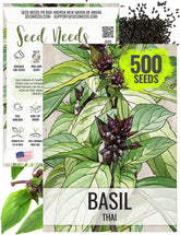 Seed Needs Thai basil seeds packet with sowing guide for home gardens.