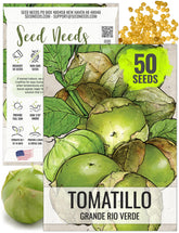 Seed Needs tomatillo seed packet illustration for home gardening and heirloom crop planning