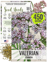 Seed Needs valerian seeds in a packet front for easy planting.