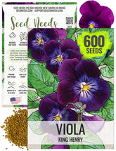 Seed Needs King Henry Violas seeds pack for borders with purple blooms.