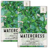 Seed Needs Watercress seeds seed packet, perfect for starting a home garden.