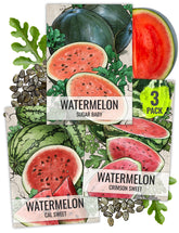 Seed Needs Crimson Sweet seed pack illustration for home gardening and flavorful harvest