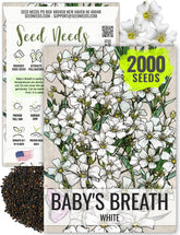 Seed Needs White Baby's Breath seed packet illustration highlighting heirloom seeds for easy garden color.