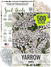 Seed Needs White Yarrow Seeds pack – sowing guide for easy planting.