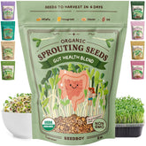 Seedboy Gut Health Blend bag shown, convenient organic sprouts starter for quick, healthy meals.