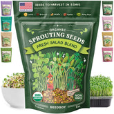 Seedboy salad blend seeds in a jar for quick sprouts