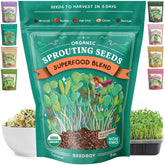 Seedboy organic sprouting seeds in a jar for quick greens.
