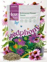 Seedphony Echinacea seed pack 1oz with approx 9,300 seeds for vibrant pollinator gardens.