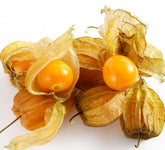 Seeds Of Strength cape gooseberry seeds in packaging for easy home planting