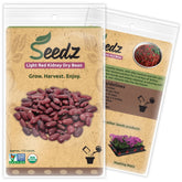 Seedz Light Red Kidney Dry Bean Seeds closeup for organic gardening and home cooking.