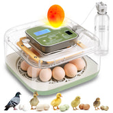 Seektain incubator with digital display showing 12 egg capacity and settings
