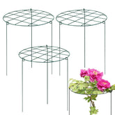Sekcen peony support cage with 16x24 hoop keeps stems upright and blooms protected.