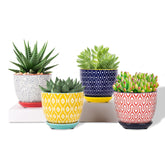 Selamica ceramic plant pot with a 4.6-inch opening for indoor greenery.