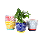 Selamica ceramic plant pot with a 56-inch diameter, ideal for compact orchids.