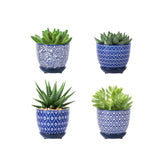 Selamica ceramic succulent pot 3.5 inch with drainage for healthy roots