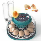 SENTYE automatic egg incubator front view for home use with compact design and controls