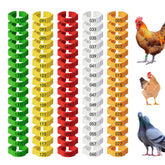 senylanhxy 150-pack leg bands in five colors for quick poultry ID