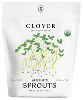Sereniseed organic clover sprout seeds 16oz bag yield quick, nutrient-dense microgreens.