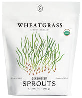 Sereniseed organic wheatgrass seeds in a bag for home sprouting and fresh greens.