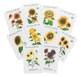 Sereniseed Sunflower Seeds Collection offers 10 varieties for vibrant blooms and pollinator support.