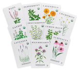 Sereniseed Tea Seed Collection packaging shows the complete 10-pack and grow guide