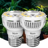 SGLEDs grow light bulb in seed-starting setup for indoor greens