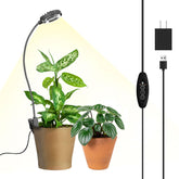 SGLEDs grow light clip-on for indoor plants provides even coverage for herbs and succulents.