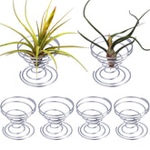 Shappy 6-piece air plant stands displayed together for desk decor