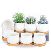 SHECIPIN white 2.6-inch succulent pot for compact windowsill decor
