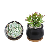 SHECIPIN two-pack succulent pots in black with a matte finish for stylish plant display.