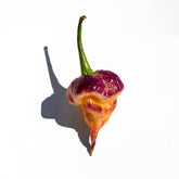 Sherwoods Seeds Purple Peach Carolina Reaper seed pack for spicy pepper enthusiasts.