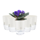ShineMe self-watering pots in a 5-pack for easy indoor plant care.