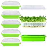 SHUESS seed sprouting tray six-pack front view with BPA-free construction for safe kitchen use.