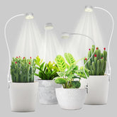 Shyineyou small grow light desktop clip—space-saving for desks.