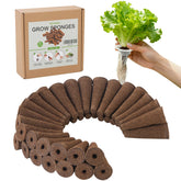 SIETAMIS grow sponge soaking scene shows ready-to-use seed pod for easy germination