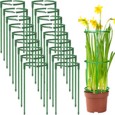 SIBRANT 36-pack plant stake half-round supports upright growth for potted plants.