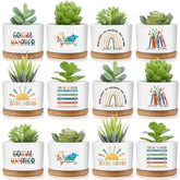 Sieral 12-pack succulent pots in ceramic for gift-ready desk decor.