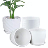 Sietpoek plant pot cylinder with white saucer on a sunny desk for small succulents