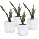 Sietpoek white cylindrical planter with attached saucer for clean drainage.